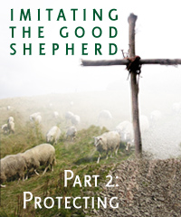SP - Imitating the Good Shepherd part 2 - Protecting