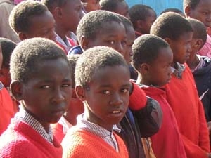 orphan group